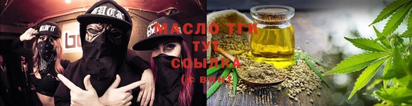 индика Володарск